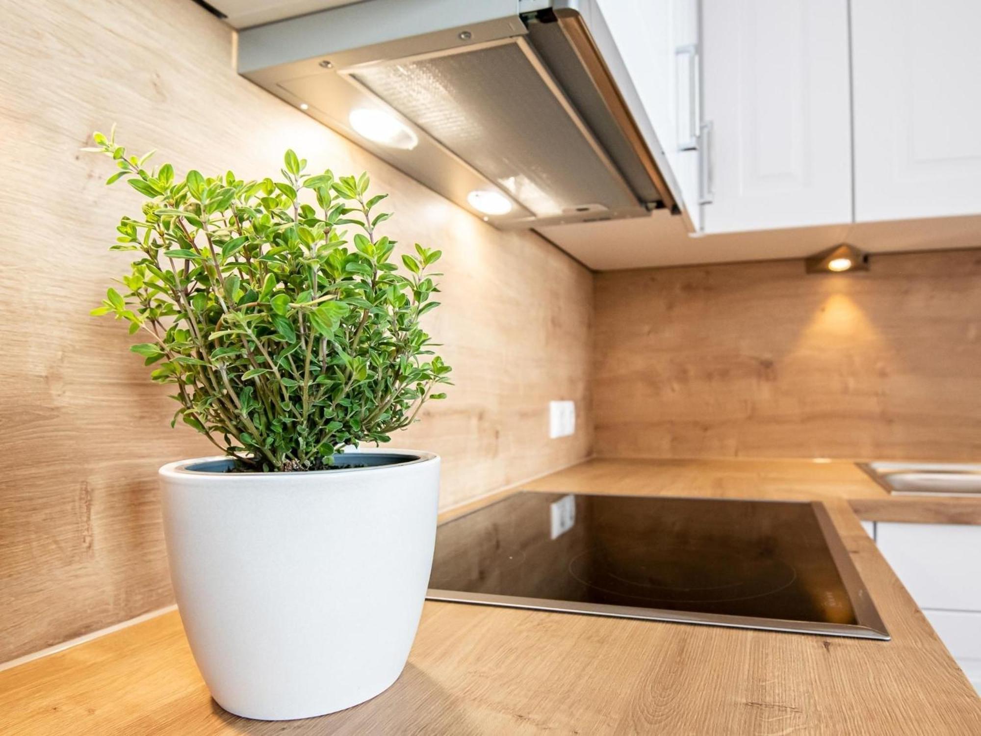 Berolina 804 Penthouse Mit Meerblick Dahme  Exteriör bild
